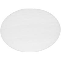 Dyson 91895201 - Filtro posterior para aspiradoras DC04- DC05- DC08- DC19- DC20 y DC29
